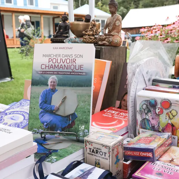 LD@Centre de vie - Festival Santé & Bien-Être (4)