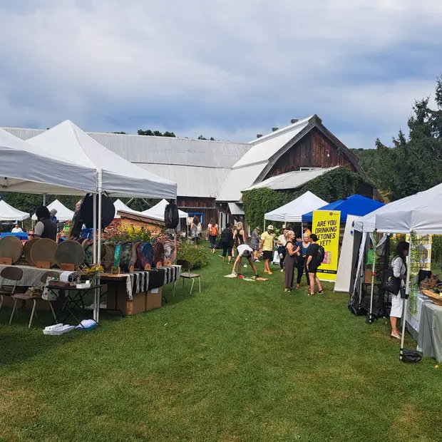 Health & Wellness Festival