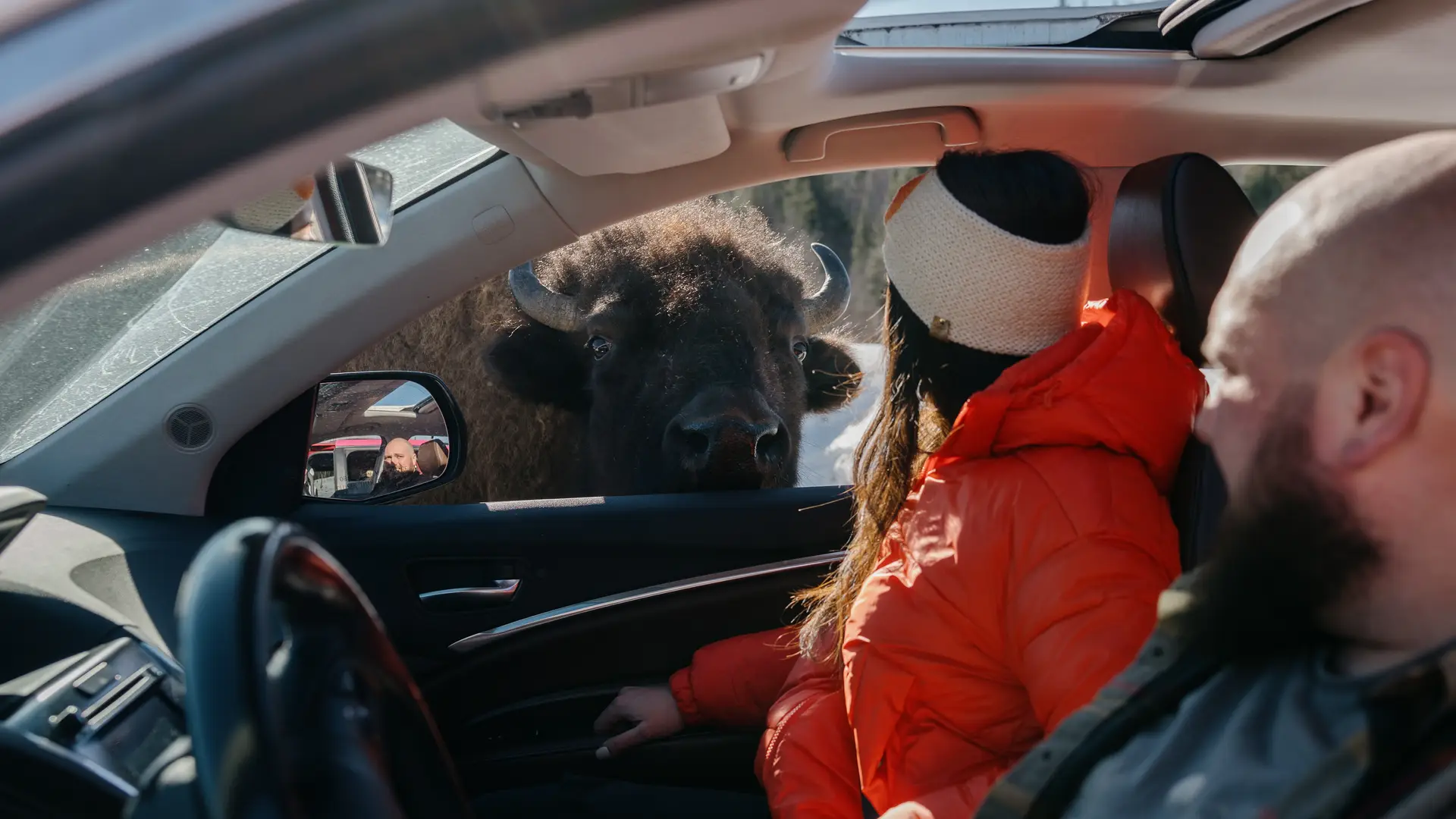 Blog Outdoor Activities to Enjoy in the Outaouais This Winter