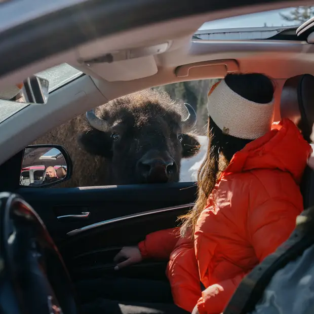 Outdoor Activities to Enjoy in the Outaouais This Winter