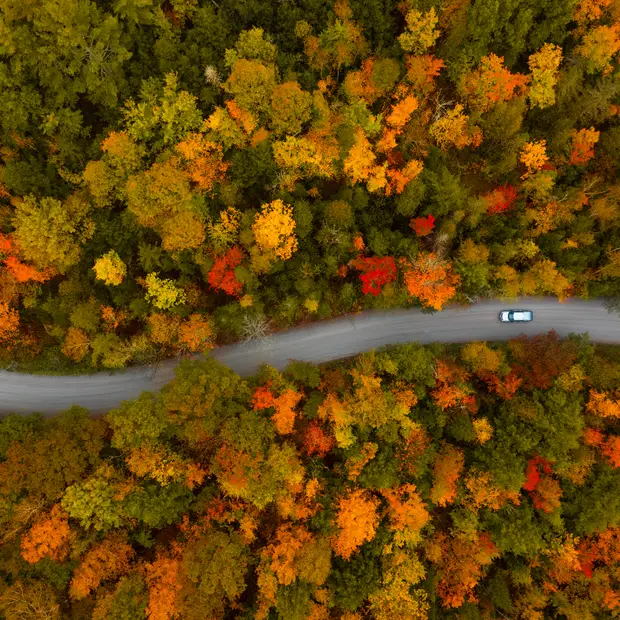 Routes