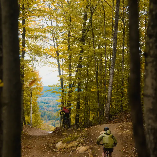 LD @Citizen North - Vorlage (36) (1)