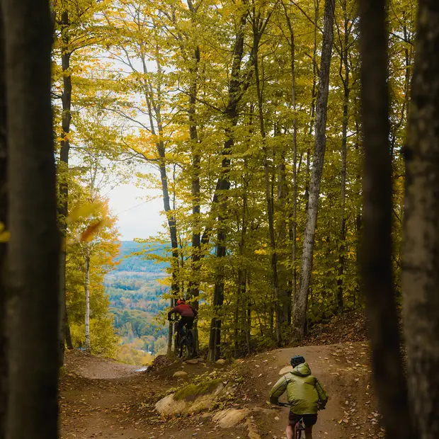 LD--Citizen-North---Vorlage--36-