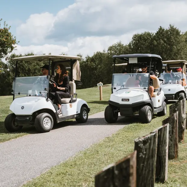 LD@Club de golf Edelweiss - Club de golf Edelweiss (2)