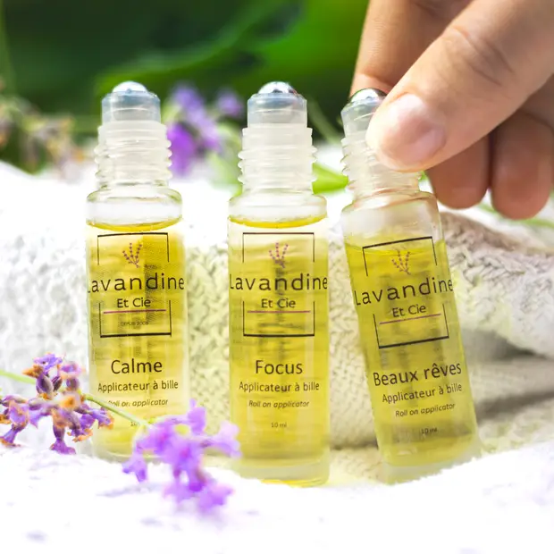 LD@Eric Bouchard - Lavandine et cie (10)