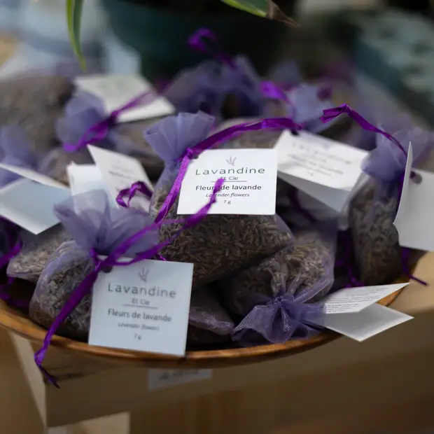 LD@Eric Bouchard - Lavandine et cie (16)