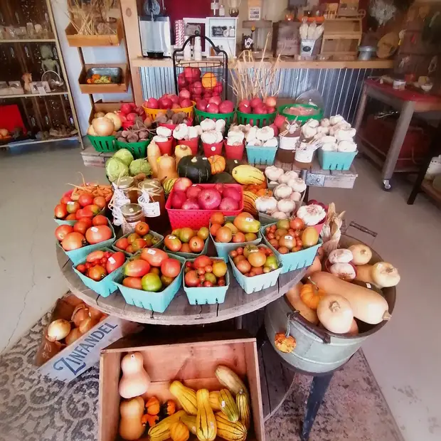 LD@Ferme L'Ã_co des champs - Ferme L'Ã_co des champs (10)