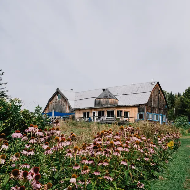 70 activités pour profiter du printemps!