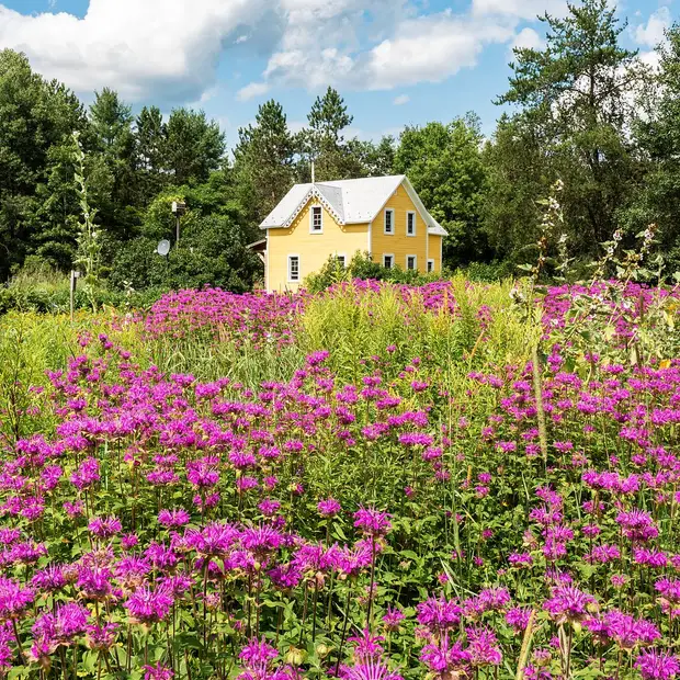 Open doors at the farm