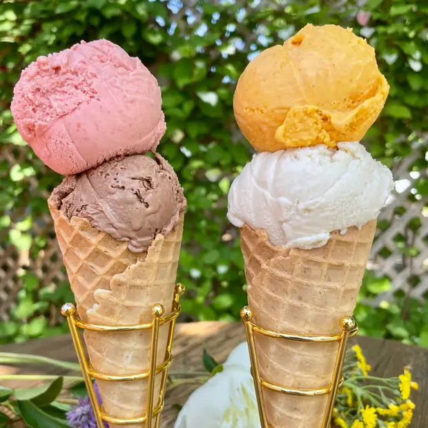 LD@la luciole et le wezo-La luciole et le wezo (3)