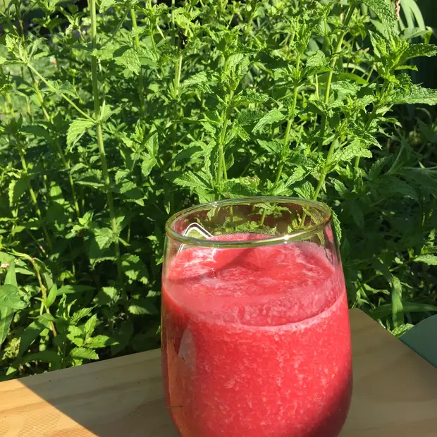 LD@la luciole et le wezo-La luciole et le wezo