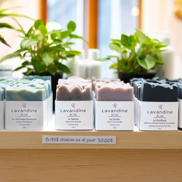 LD@Lavandine et cie - Lavandine et cie (8)