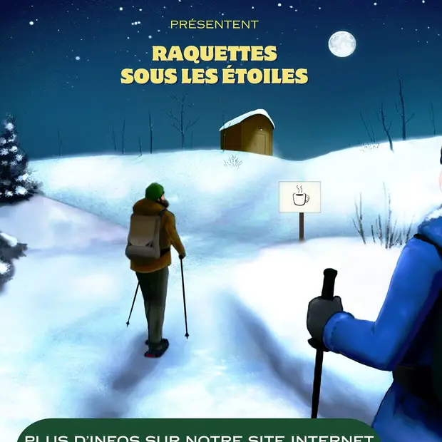 Snowshoes under the stars