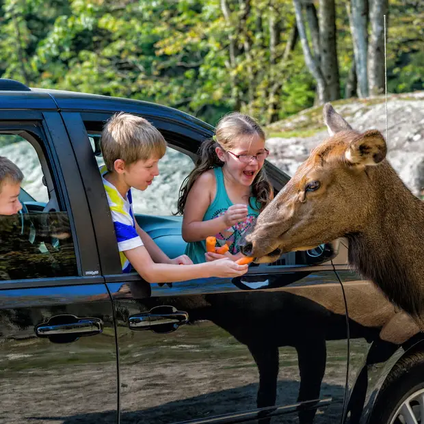 L’Outaouais, une destination familiale
