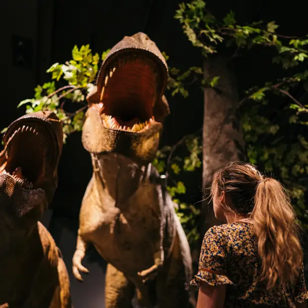 LD @Mathieu Foote_Musée canadien de la nature (11)