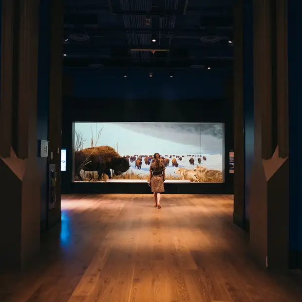 LD @Mathieu Foote_Musée canadien de la nature (12)