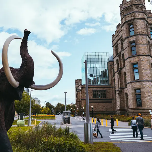 LD @Mathieu Foote_Musée canadien de la nature (8)