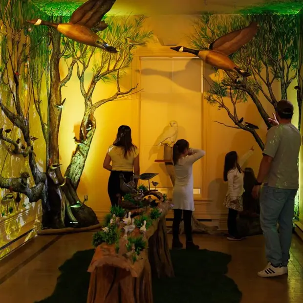 L’art pop en folie