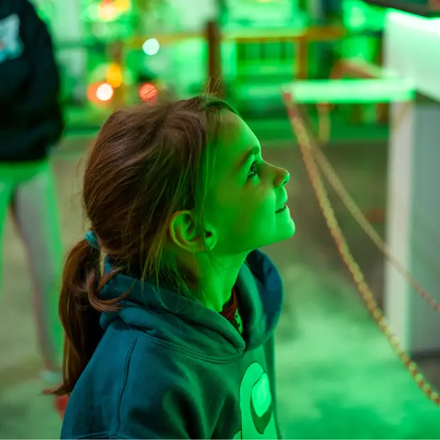 Création sans titre - 2