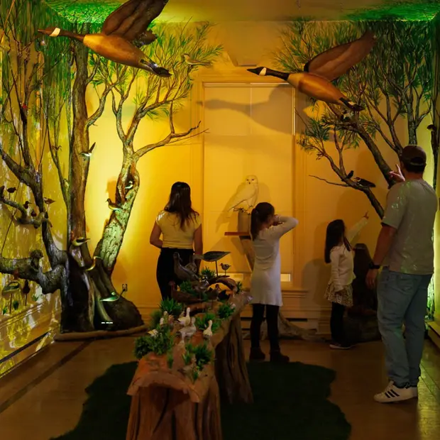 Création sans titre - 7