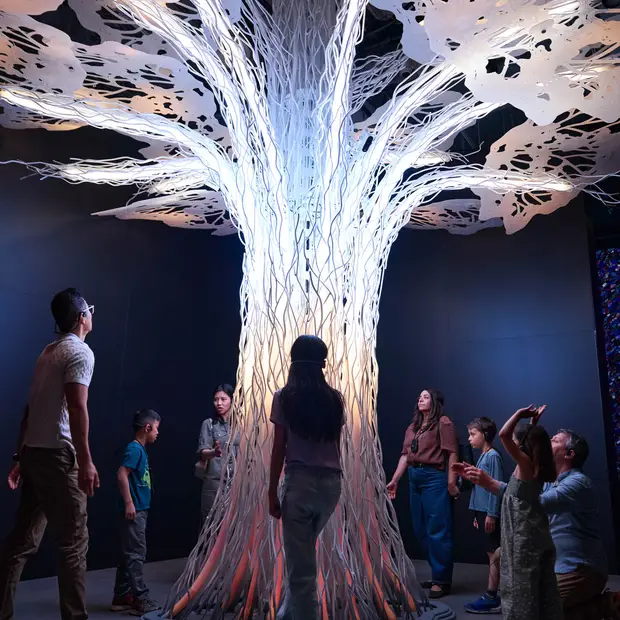 The Man Who Planted Trees: An Immersive Tale