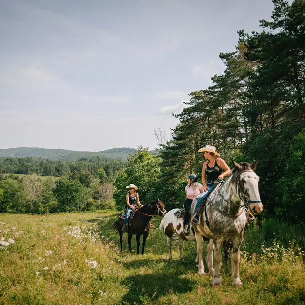 LD @Myriam Baril-Tessier - Ferme Captiva (9)