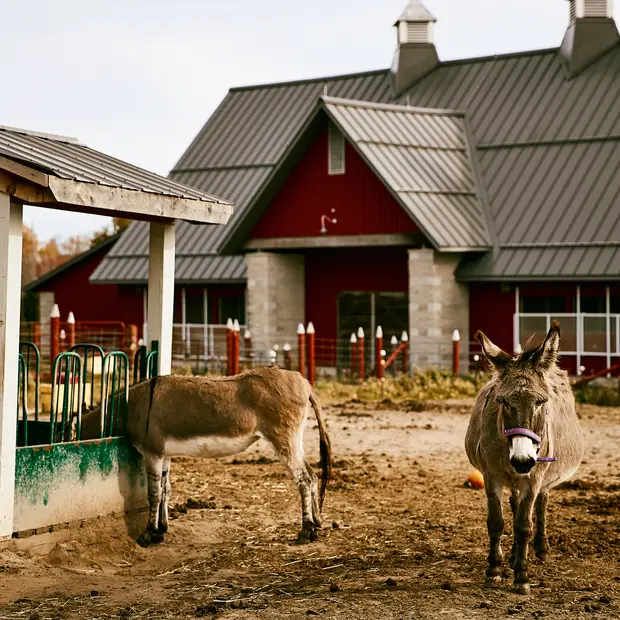 LD @Myriam Baril-Tessier - Musée de l'agriculture  et de l'alimentation du Canada (1)