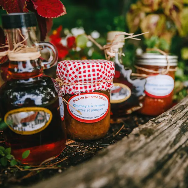  Parc de la Ferme-Dalton 