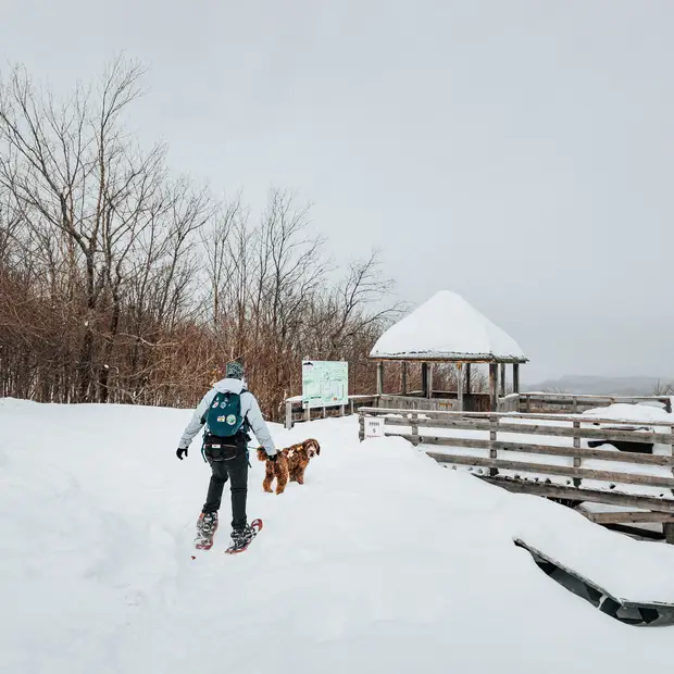 Parc des Montagnes Noires de Ripon