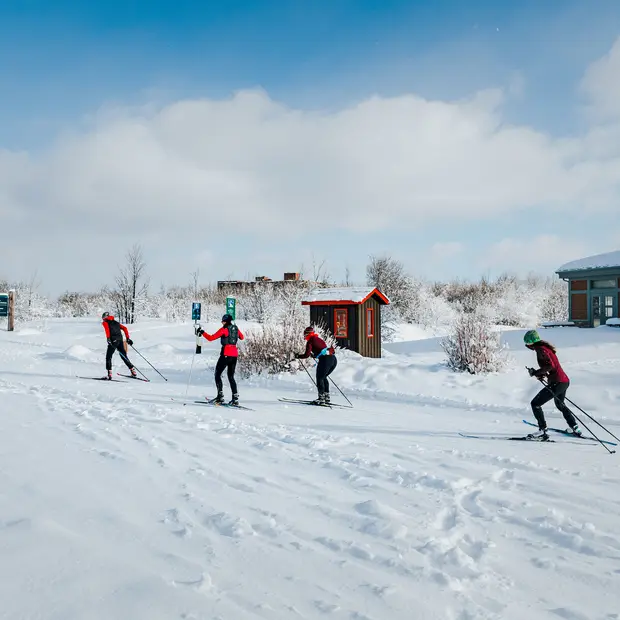 Relais plein air du Parc de la Gatineau