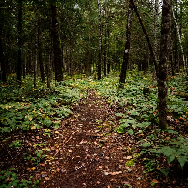 White-Tail Deer Interpretation Centre