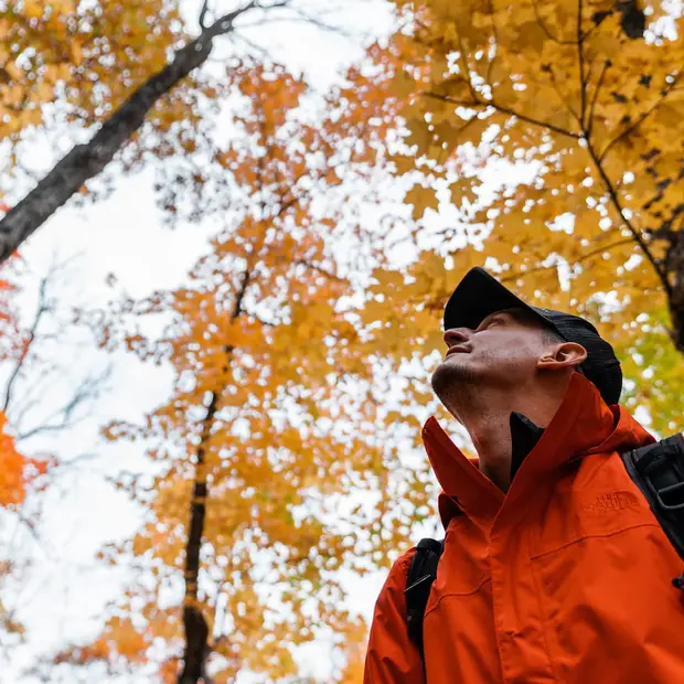 Hiking: the little-known trails of the Vallée-de-la-Gatineau