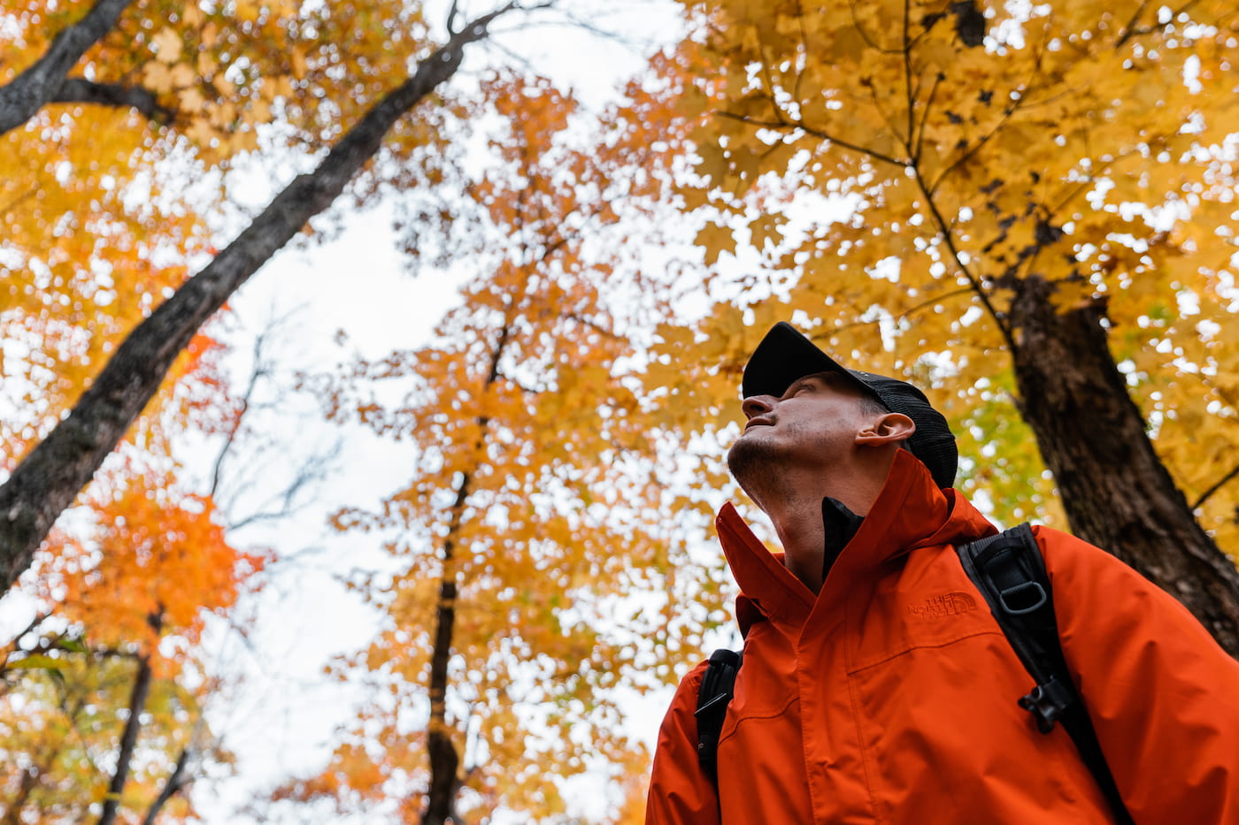 Blog Hiking: the little-known trails of the Vallée-de-la-Gatineau