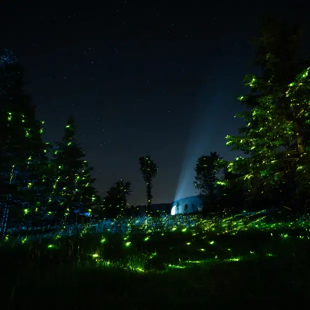 LD@Parc Oméga - Oniro (11)