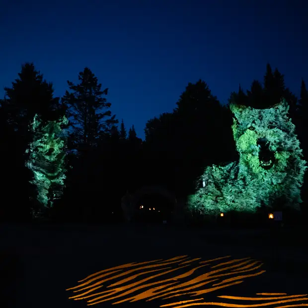 Immersive experiences