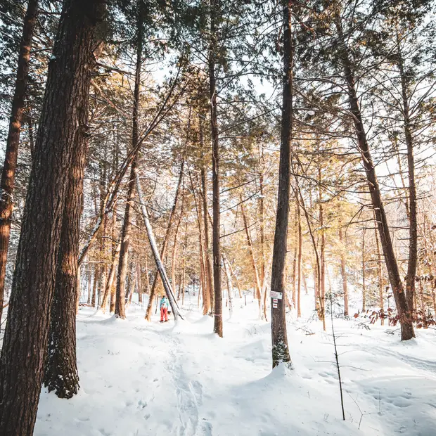 LD -PERO @Vallée-de-la-Gatineau (5)