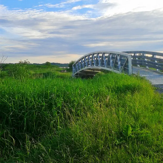 LD piste cyclable de PLaisance à Thurso 3