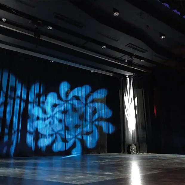 LD @ Productions Les 2 vallées - Spectacles (4) (1)