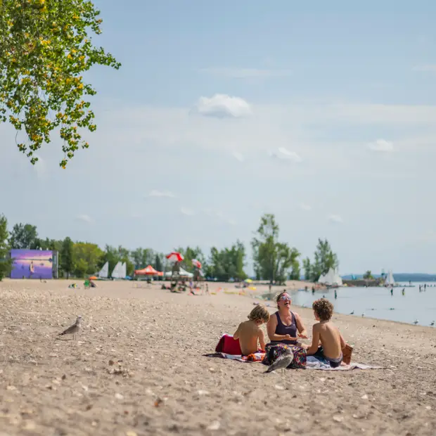 LD@Richère David_Parc des Cèdres (12)