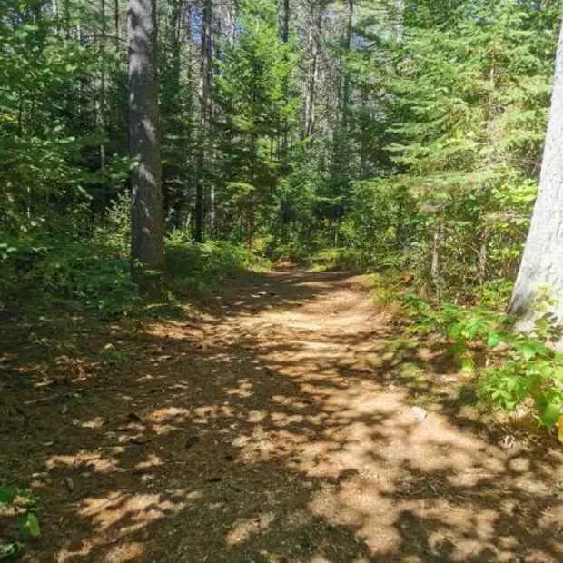 LD - SENTIER DU LIÃ_VRE - MUN. VAL-DES-BOIS - NOV 2020 - Sentier