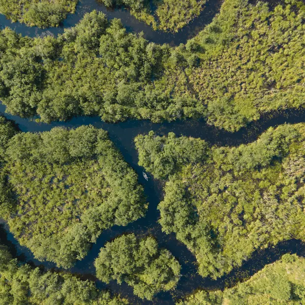 Eco-Odyssée Nature Park