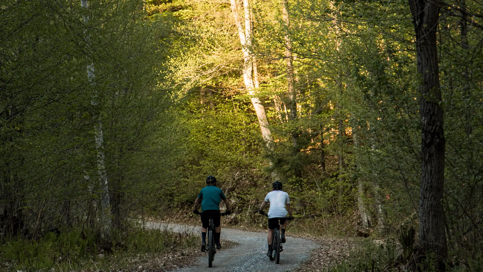Blog Gravel biking: a different way to ride