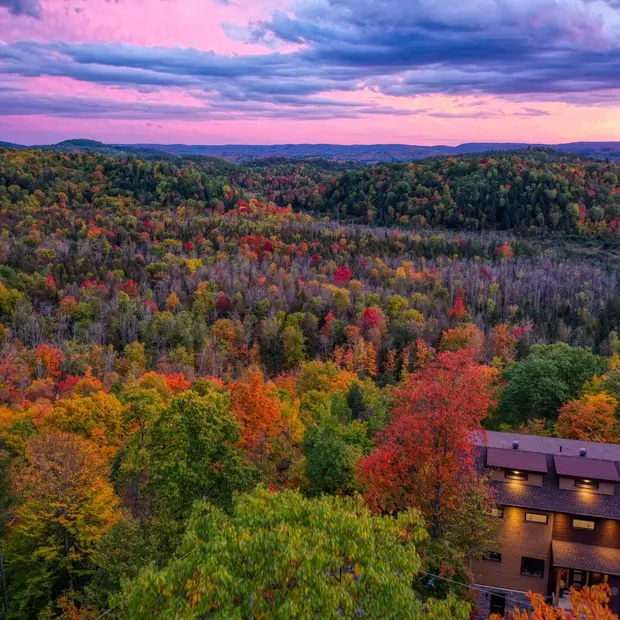 Le Bellevue en automne