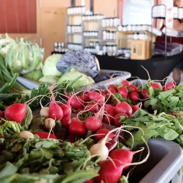 Légumes 