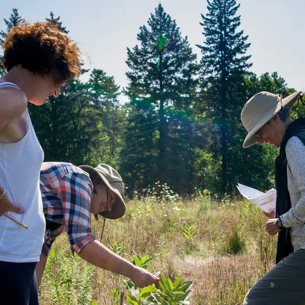 Les amis du Parc de la Gatineau_LD (8)