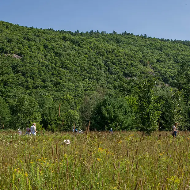 Managing the Effectiveness of Protected Areas