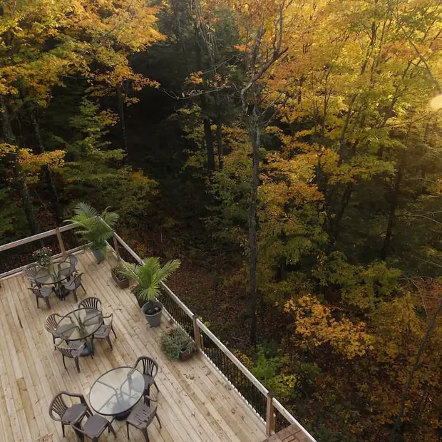 Team building amid the fall colours