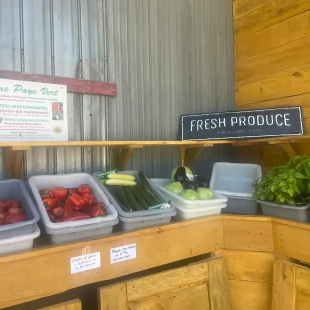 marché legumes
