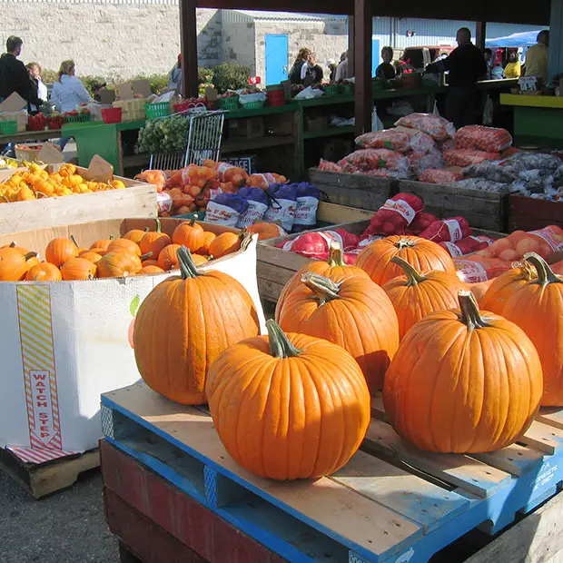 marche-public-encan-larose-01