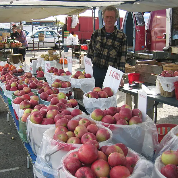 marche-public-encan-larose-02